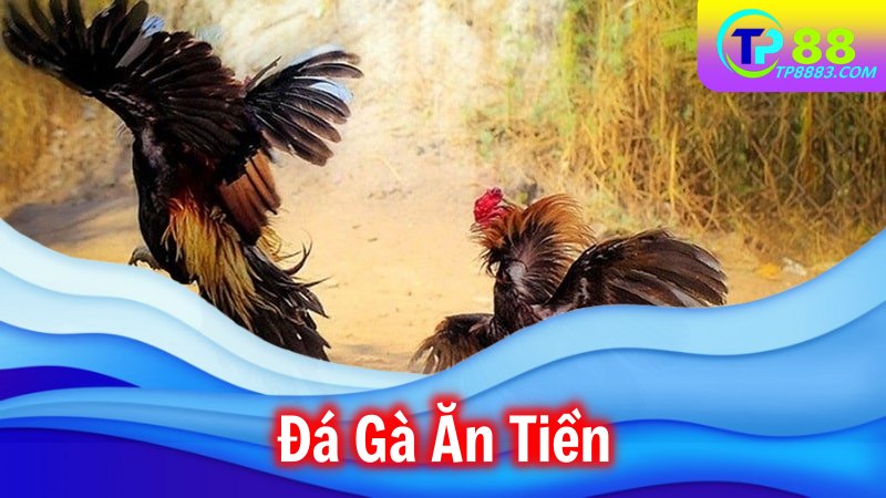 Đá Gà Ăn Tiền